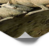 Boeren met koeien en schapen poster (Hoek)