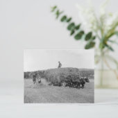 Boeren snijden hooi, 1906 briefkaart (Staand voorkant)