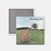 Boerenmannetjes op het Plein Magnet (Voorkant / Achterkant)