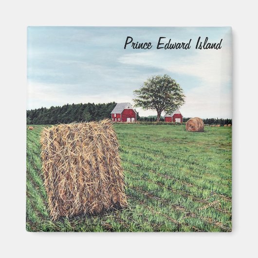 Boerenmannetjes op het Plein Magnet (Voorkant)