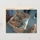 Boerenmarkt, Louans, Bresse, konijnen Briefkaart (Voorkant / Achterkant)