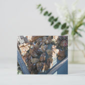 Boerenmarkt, Louans, Bresse, kuikens Briefkaart (Staand voorkant)