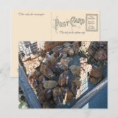 Boerenmarkt, Louans, Bresse, kuikens Briefkaart (Voorkant / Achterkant)