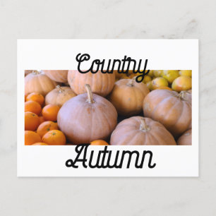 Boerenmarkt Pompoenen Land Herfst Briefkaart
