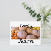 Boerenmarkt Pompoenen Land Herfst Briefkaart (Staand voorkant)