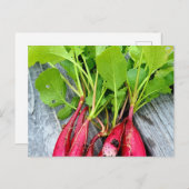 boerenmarkt-radijs briefkaart (Voorkant / Achterkant)