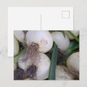 Boerenmarkt uien briefkaart (Voorkant / Achterkant)