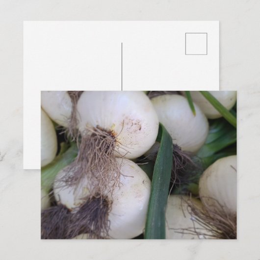 Boerenmarkt uien briefkaart (Voorkant / Achterkant)