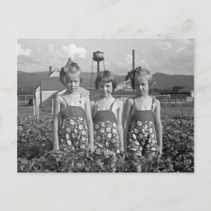 Boerenmeisjes, 1939 briefkaart