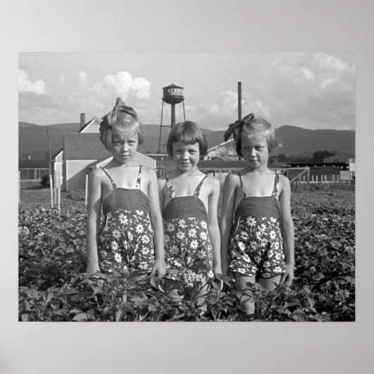 Boerenmeisjes, 1939. Oude foto Poster (Voorkant)