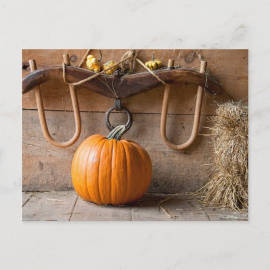 Boerenmuseum. Pompoen in schuur met hooivaal Briefkaart (Voorkant)