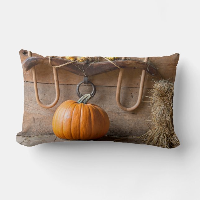 Boerenmuseum. Pompoen in schuur met hooivaal Kussen (Voorkant)