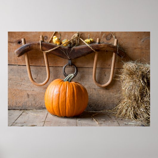 Boerenmuseum. Pompoen in schuur met hooivaal Poster (Voorkant)