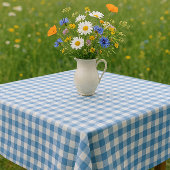 Boerenstijl blauw en wit gingham  tafelkleed