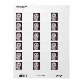 boerenuil etiket (Full Sheet)