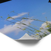 Boerenzwaluw in vlucht poster (Hoek)