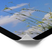 Boerenzwaluw in vlucht poster (Hoek)