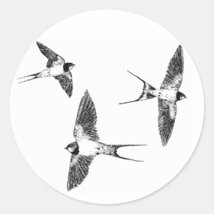 Boerenzwaluw Ronde Sticker