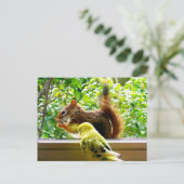 Boergie en rode eekhoorn briefkaart (Staand voorkant)