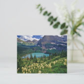 Boergras boven het meer van Grinnell in de Velen Briefkaart (Staand voorkant)