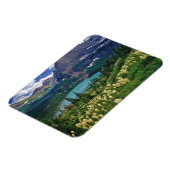 Boergras boven het meer van Grinnell in de Velen Magneet (Linkerzijde)