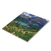 Boergras boven het meer van Grinnell Tegeltje (Zijkant)