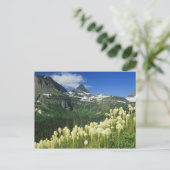 Boergras nabij Logan Pass in Gacier National Briefkaart (Staand voorkant)