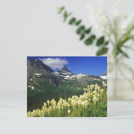 Boergras op Logan Pass in het Nationaal Park Glaci Briefkaart (Staand voorkant)