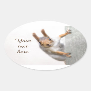 Boerige eekhoorn ovale sticker
