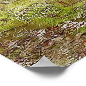 Boerkhuis Poster (Hoek)