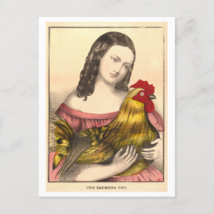  Boer's Pet Rooster Briefkaart