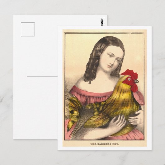  Boer's Pet Rooster Briefkaart (Voorkant / Achterkant)