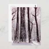 BOEST BOSSEN SNOWY WINTER SCENERY BRIEFKAART (Voorkant / Achterkant)