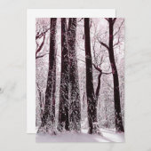 BOEST BOSSEN SNOWY WINTER SCENERY FEESTDAGENKAART (Voorkant / Achterkant)