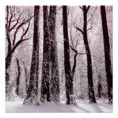 BOEST BOSSEN SNOWY WINTER SCENERY PERFECT POSTER (Voorkant)