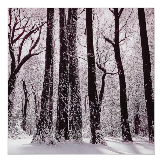 BOEST BOSSEN SNOWY WINTER SCENERY PERFECT POSTER (Voorkant)