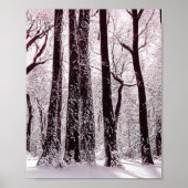 BOEST BOSSEN SNOWY WINTER SCENERY POSTER (Voorkant)