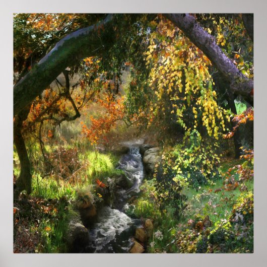 BOEST LITTLE MIDDLE RIVER POSTER (Voorkant)