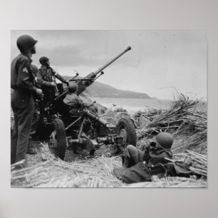 Bofors AA Pistool Poster