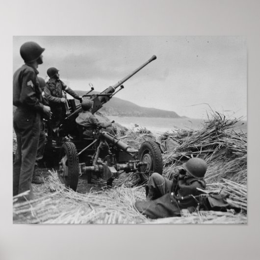 Bofors AA Pistool Poster (Voorkant)