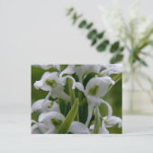 Bog Candle Orchid Blossom, Unalaska Island Briefkaart (Staand voorkant)