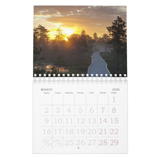 Bog Light Estonian Bogs 2025 Kalender (Mar 2026)