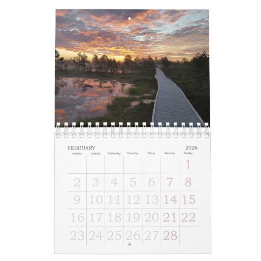 Bog Light Estonian Bogs 2025 Kalender (Feb 2026)