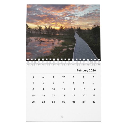 Bog Light Estonian Bogs Kalender (Feb 2026)