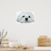 Bogart de Maltese Canvas Print (Keuken)