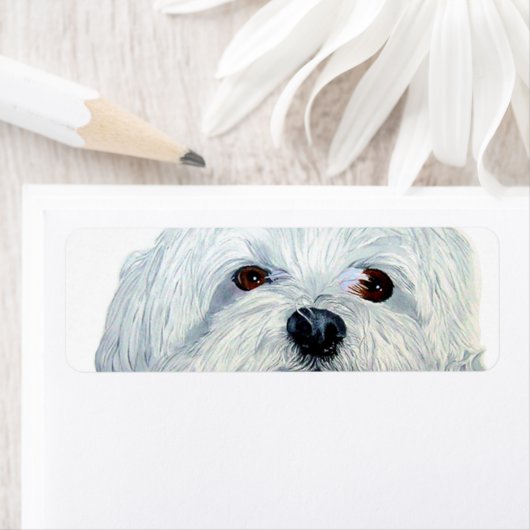 Bogart de Maltese Etiket (Insitu)