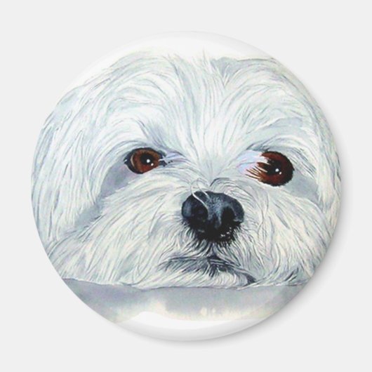 Bogart de Maltese Magneet (Voorkant)