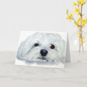 Bogart het Maltese Wenskaart Kaart (Gele Bloem)