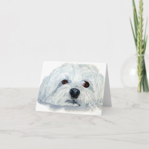 Bogart the Maltese Notecard Kaart