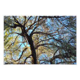 Bogen van licht foto afdruk